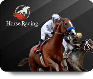 Understanding Odds and Bets on Dafabet Bet Online
